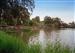 Foto del estanque de Nules, un lugar precioso, con gran diversidad de especies.