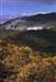 Cartajima rodeada de castaños, en la serrania de Ronda