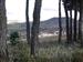 Panoramica del pueblo desde el pinar de tamariz