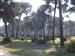 Vista del paraje natural de la Villa. Pinares de la Arbolea o Las Posturas.