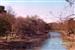 Fotografia do Ariño, unha pequena illa na beira no rio de Goian, moi fermosa, con vexetacion autocto