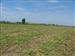SECAJE. Los agricultores, tras segar la alfalfa, la mantienen una semana en el campo para que se seq