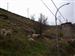 El rebaño de ovejas pastando cerca del Camino Viejo