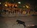 toros por la noche en la fiesta del SANTO CRISTO DE LOS PASTORES (2004)