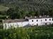 Cortijo entre olivos centenarios en Cazorla