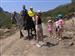 Caballos para la carrera en Riosol