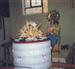 la candelaria con la torta de alaju