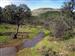 Arroyo en la hoz del Linchero