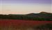 El Pla de Manlleu, amb Marmellar al fons vinyes de Tardor