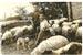 Pastores zagales de Etxabarri sobre los años 50