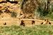 El jacuzzi de los osos. Parque de la Naturaleza de Cabárceno