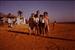 Una familia en la playa de ,,San Lucar de Barrameda,,1977.