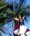 Sagrada Entrada de Jesús en Jerusalén, ``La Borriquita´´ Domingo de Ramos 2011