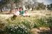 año 1990-mi esposa he hijos en el olivar de la BARRERONA MADRIGALEJOS