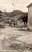 Carretera a la Plaza - Garralda - 1950