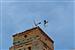 Cigüeñas en la Torre de la Iglesia (Semana Santa 2.012)