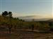 Cultivo de almendros en La Cañada de Verich