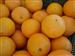 Producciones agrarias: naranjas