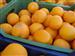 Producciones agricolas: naranjas de Bechí