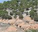 Antiguas bodegas que hay a la izquierda nada más pasar Torre de Esgueva. Son de un primitivismo sorp